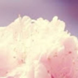 Meet your Posher, Jessicka